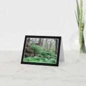 悔やみや弔慰お礼ノートカード – フォレスト サンキューカード (正面)