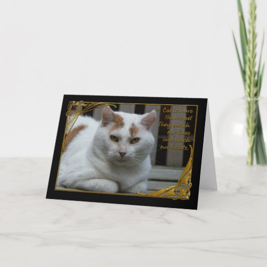 悔やみや弔慰での猫カードの紛失 カード (正面)