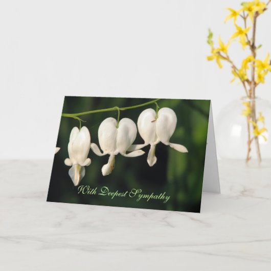 悔やみや弔慰の白い花 カード (黄色い花)