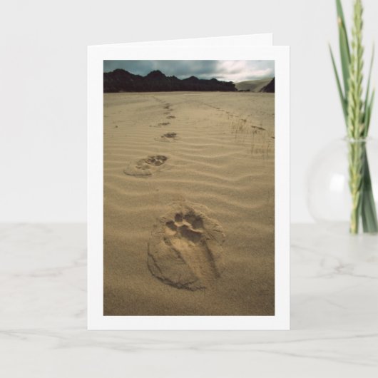 悔やみや弔慰カード カード (正面)