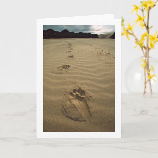 悔やみや弔慰カード カード (黄色い花)