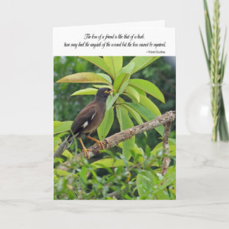 悔やみや弔慰カード-友人の損失 カード