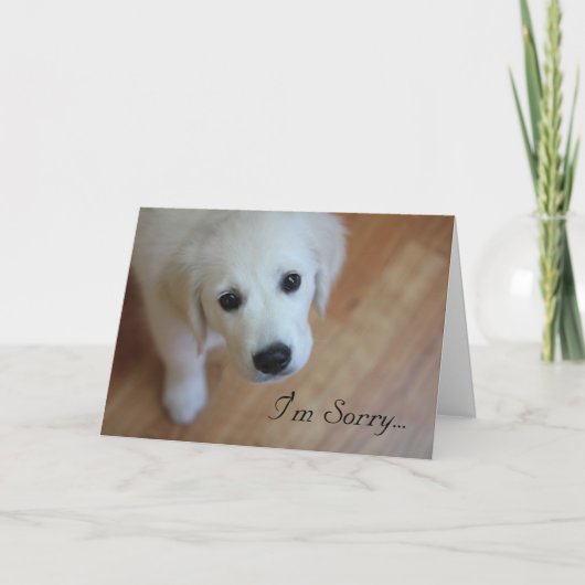 悔やみや弔慰カード、私は残念のために…です サンキューカード (正面)