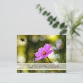 悔やみや弔慰サンキューピンク夕べコスモスワイルドフラワー ポストカード (スタンド正面)