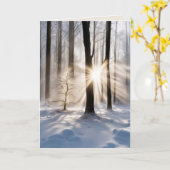 悔やみや弔慰サンビームインウィンターフォレスト カード (黄色い花)