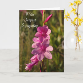 悔やみや弔慰ピンクフローラホワイトスクリプトメッセージの写真 カード