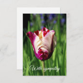 悔やみや弔慰フラットカード サンキューカード (正面/裏面)