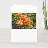 悔やみや弔慰付きクリスチャンカード聖なる書物、 経典 カード (裏面)