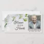 悔やみや弔慰白い蘭ありがとう |写真 サンキューカード (裏面)