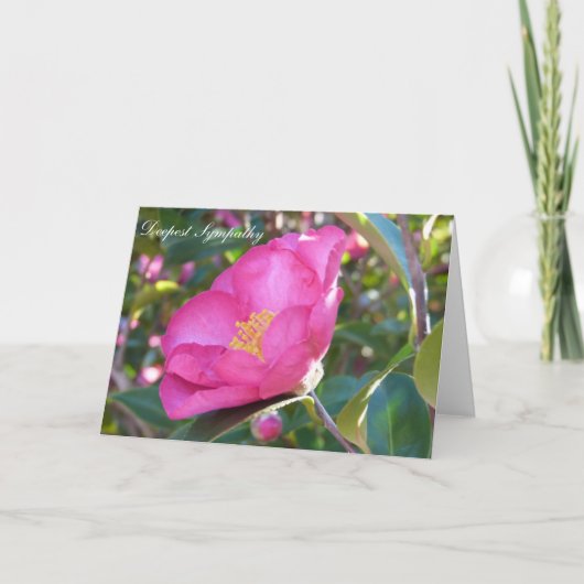 悔やみや弔慰花 カード (正面)