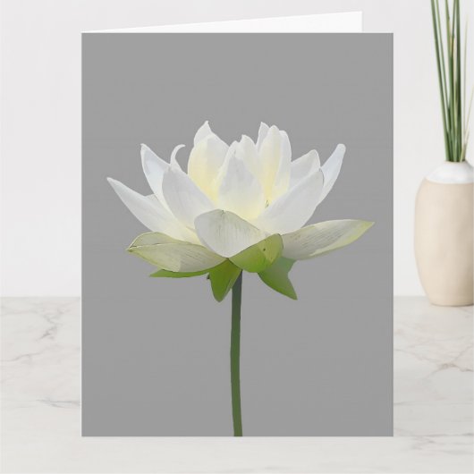 悔やみや弔慰蓮の花シンプルメッセージ挨拶カード サンキューカード (正面)