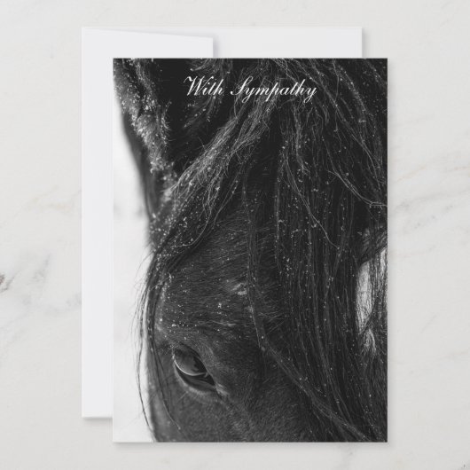 悔やみや弔慰 (正面)