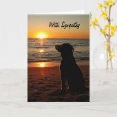 悔やみや弔慰 – サンセットとドッグのビーチカード カード (黄色い花)