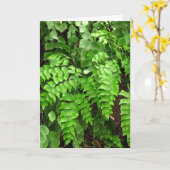 悔やみや弔慰-シダ カード (黄色い花)