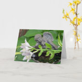 悔やみや弔慰(ベビー又は子供の喪失)、ホスタ開花 カード (黄色い花)