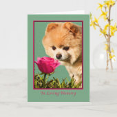 悔やみや弔慰、ペット、ポメラニア犬犬およびばら色カード カード (黄色い花)