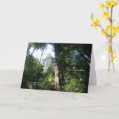 悔やみや弔慰-レッドウッド-カード カード (黄色い花)