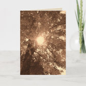 悔やみや弔慰・希望 カード (正面)