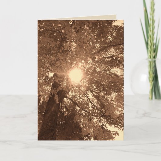 悔やみや弔慰・希望 カード (正面)