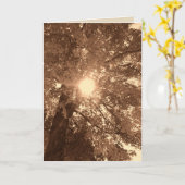 悔やみや弔慰・希望 カード (黄色い花)