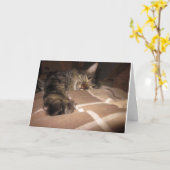 悔やみや弔慰-猫 カード (黄色い花)