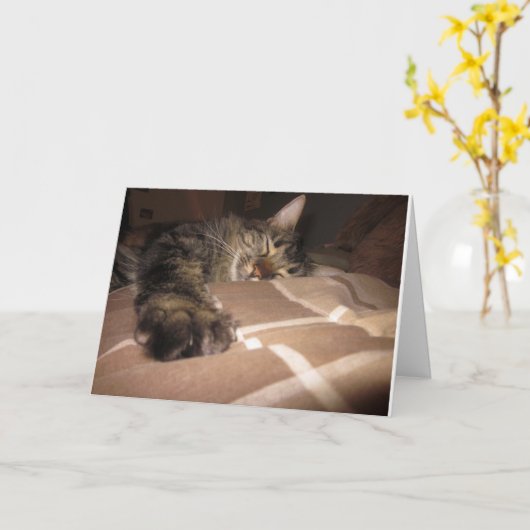 悔やみや弔慰-猫 カード (黄色い花)