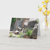 悔やみや弔慰: 黒い渓谷の木 カード (黄色い花)
