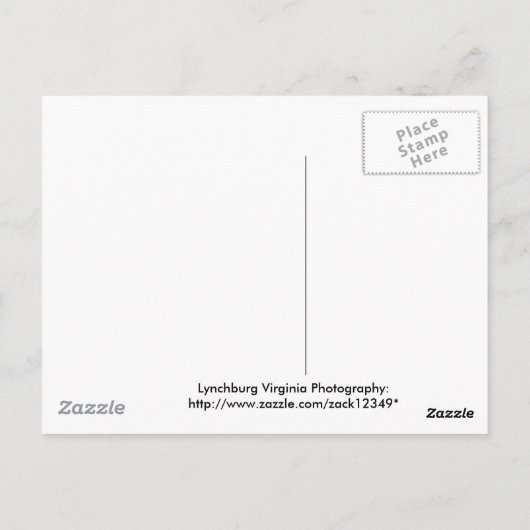 悟り ポストカード (裏面)