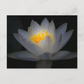 悟り ポストカード (正面)