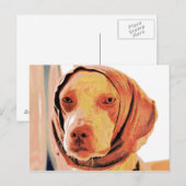 患者犬 ポストカード (正面/裏面)