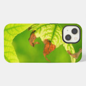 患部カエデの葉 iPhoneケース (裏面横)