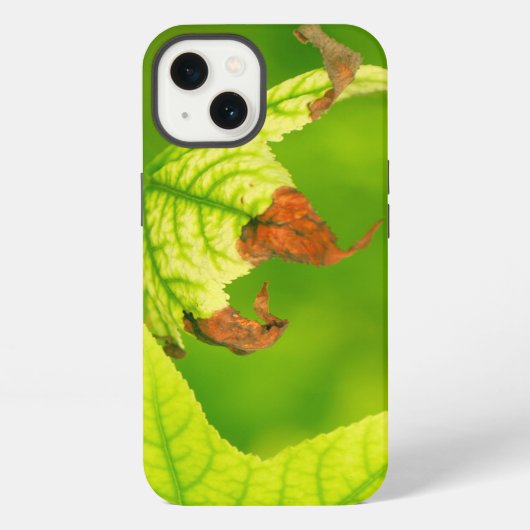 患部カエデの葉 iPhoneケース (裏面)