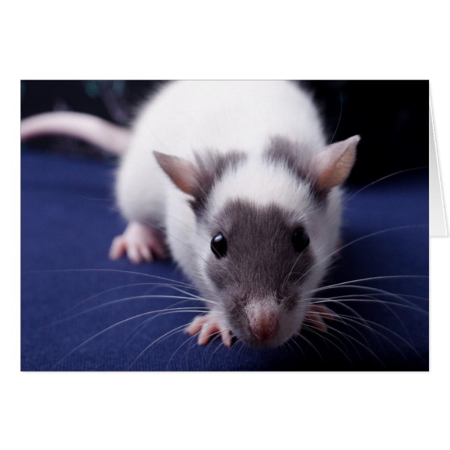 悩みカード (正面横)