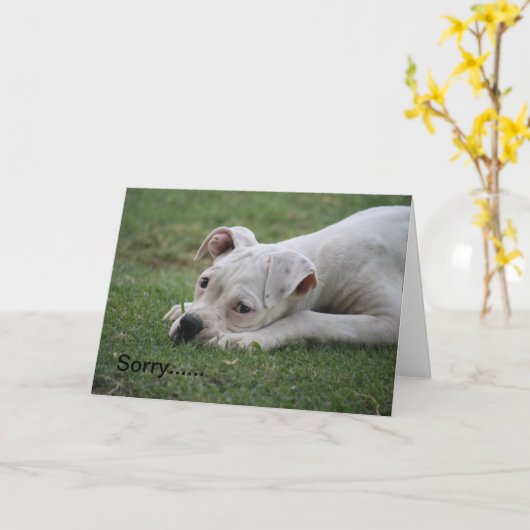 悪いな感じい。 カード (黄色い花)