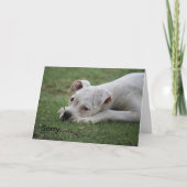 悪いな感じい。 カード (正面)