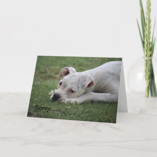 悪いな感じい。 カード (正面)