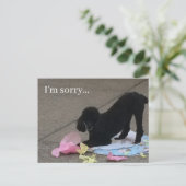 悪いのはがき、プードルポストカード、犬のはがき ポストカード (スタンド正面)