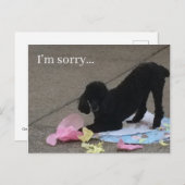 悪いのはがき、プードルポストカード、犬のはがき ポストカード (正面/裏面)