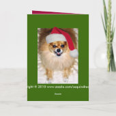 悪いサンタのクリスマスカード シーズンカード (裏面)