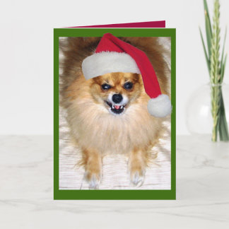 悪いサンタのクリスマスカード シーズンカード