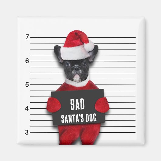 悪いサンタの犬の顔写真　面白いクリスマス マグネット (正面)