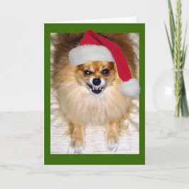 悪いサンタクリスマスカード シーズンカード