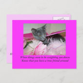 悪いデイカード。 ポストカード (正面/裏面)