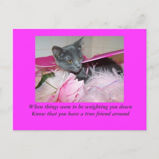 悪いデイカード。 ポストカード (正面)