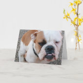 悪い日だ！ カード (黄色い花)