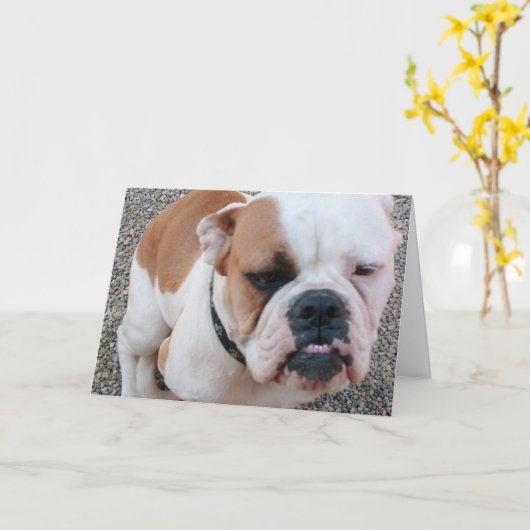 悪い日だ! カード (黄色い花)