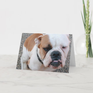 悪い日だ！ カード