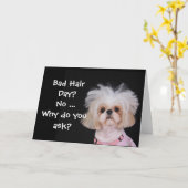 悪い毛日か。 カード (黄色い花)