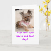 悪い毛日を過したありますことがか。 カード (黄色い花)