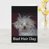 悪い毛日-犬および人々のユーモア カード (黄色い花)